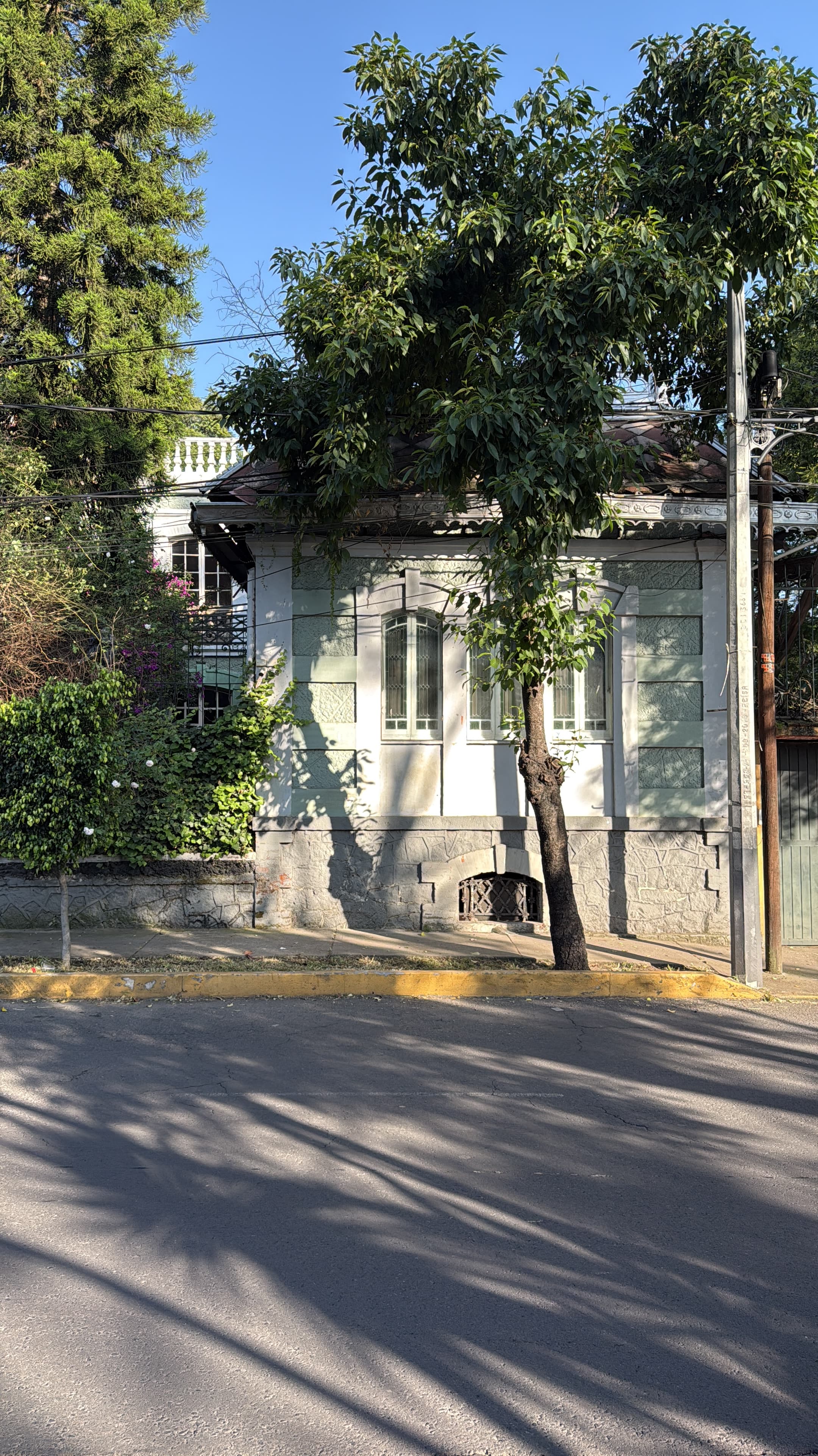 Casa 1904 — foto 2